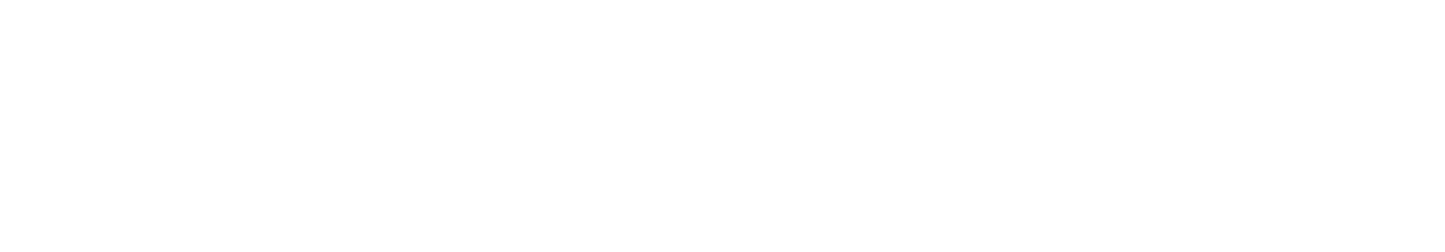 SpaceXSI Transformation Partner